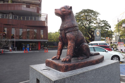 忠犬ハチ公
